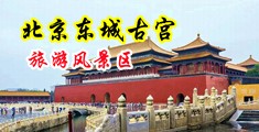 黑人大鸡巴在线观看中国北京-东城古宫旅游风景区